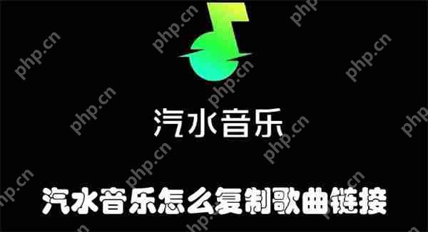 汽水音乐怎么复制歌曲链接