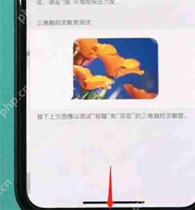在iphonexr中怎么打开半屏功能？开半屏功能的方法说明
