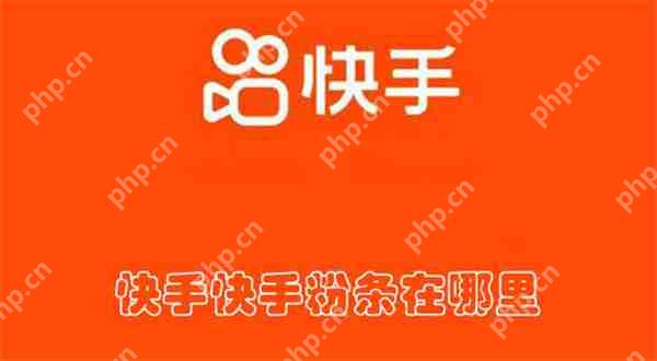快手粉条在哪里