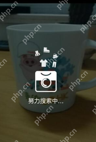 怎么使用淘宝拍照买东西？使用淘宝拍照买东西的方法说明