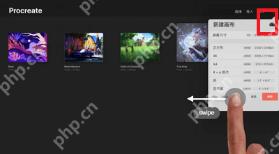 procreate怎么设置cmyk模式