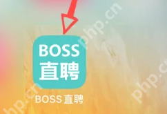 boss直聘在线客服如何联系