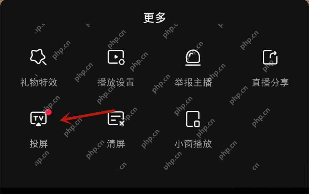 小红书直播怎么投屏?小红书直播投屏教程