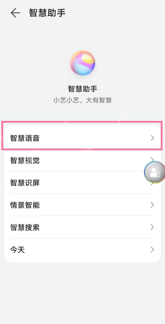华为手机语音唤醒功能在哪
