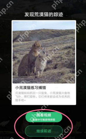 支付宝蚂蚁森林如何开启巡护