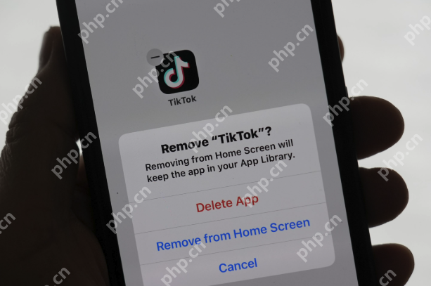 TikTok看片免费在线观看 TikTok视频看片在线免费地址 - 菜鸟