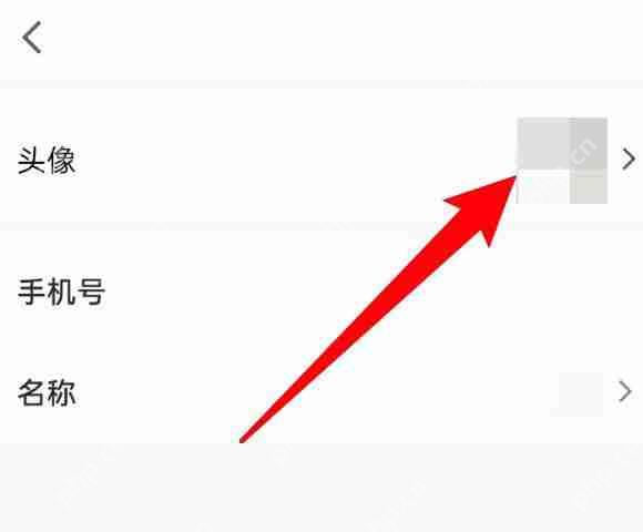 腾讯会议默认头像怎么恢复