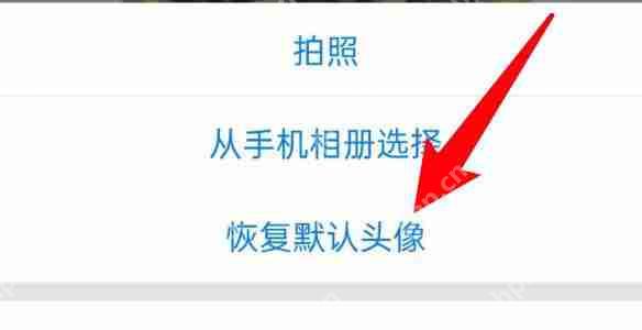 腾讯会议默认头像怎么恢复