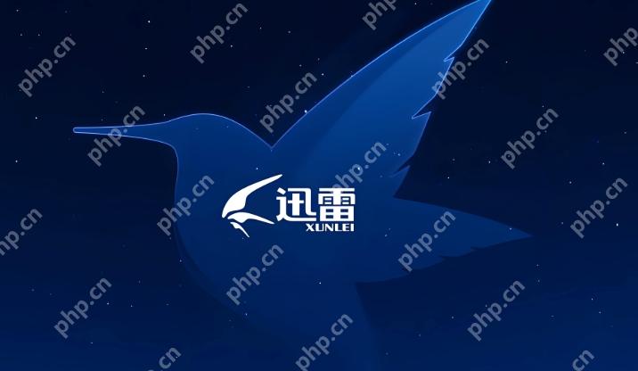 迅雷免费观看欧美大片入口 迅雷电影大片在线观看播放免费 - 菜鸟