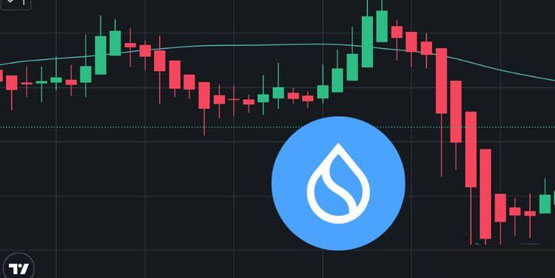 传Sui开始倒货、比特币拉涨期间逆势下跌!基金会:没有抛售