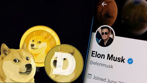 2025年最值得投资的100倍的Meme币？模因币的未来展望
