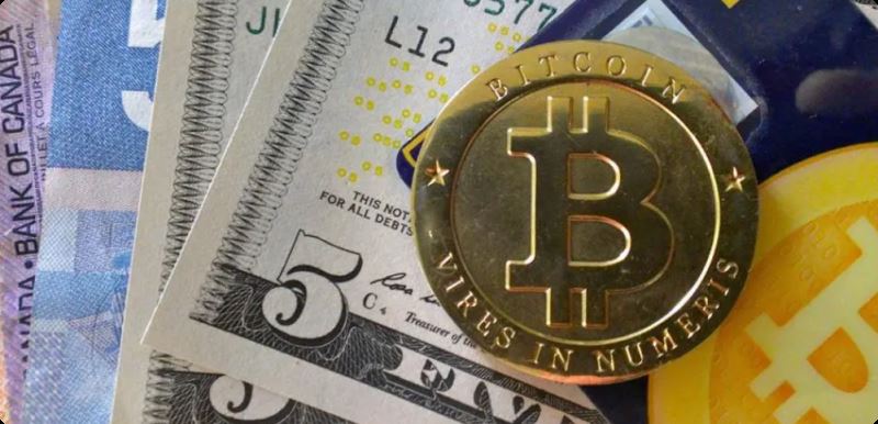 加密货币回报与市场不确定性价格敏感性的