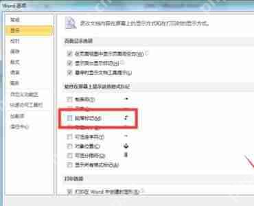 Word怎么显示及隐藏段落标记 显示与隐藏段落标记方法一览