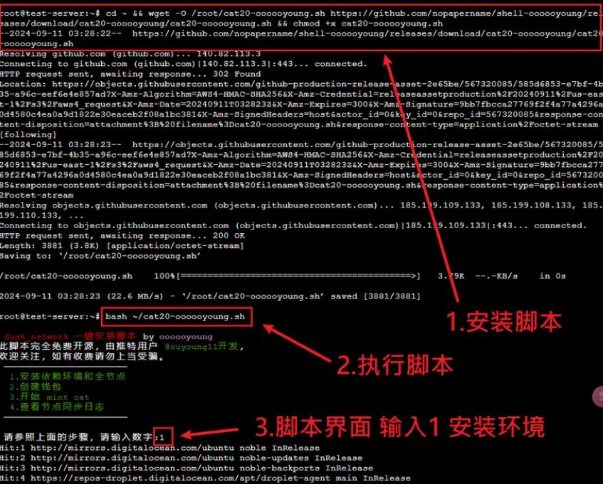 如何通过脚本一键铸造Fractal分型网络CAT Protocol代币