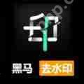 视频去水印软件有哪些 快速视频去水印的软件推荐