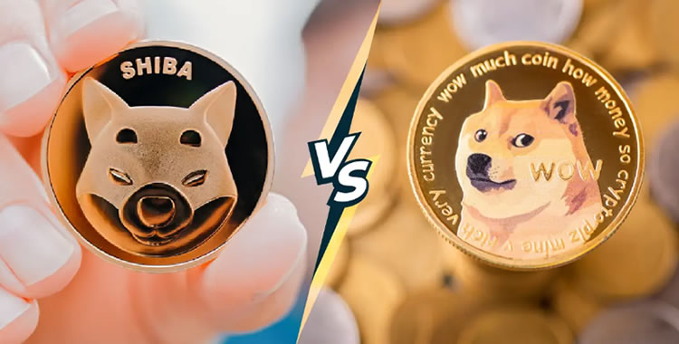 柴犬币(shib币)是什么？从迷因到奇迹,柴犬币如何征服加密世界？