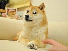 模因币的过去与现在:从狗狗币到现代的模因资产区别分析