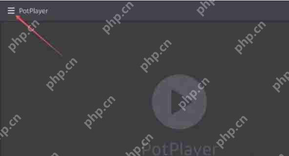 potplayer怎么关闭使用Xlnput-potplayer关闭使用Xlnput的方法