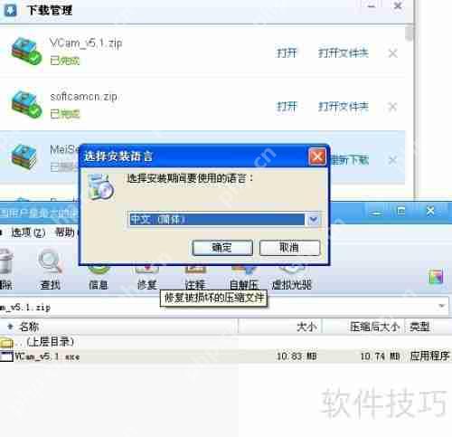 虚拟摄像头安装指南