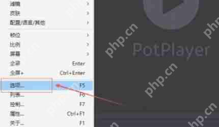 potplayer怎么使用高品质平滑滤镜-potplayer使用高品质平滑滤镜的方法