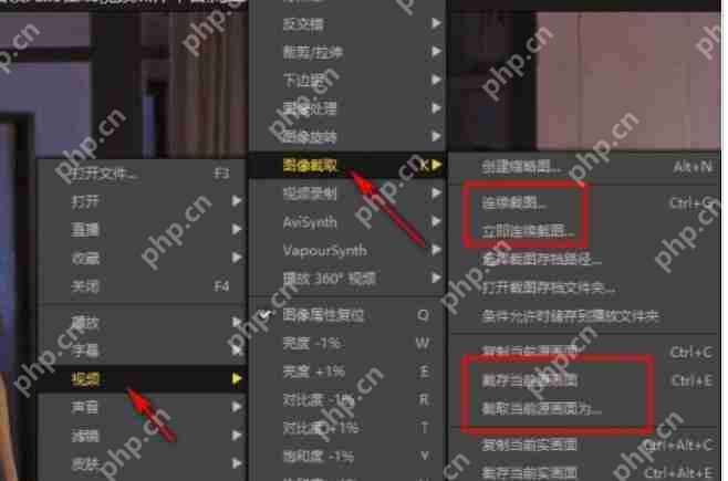 potplayer怎么逐帧截图-potplayer逐帧截图的方法