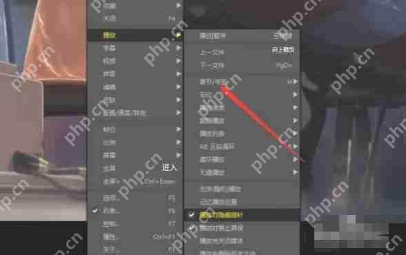 potplayer怎么添加书签-potplayer添加书签的方法