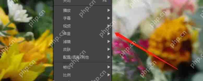 potplayer怎么开启均衡器-potplayer开启均衡器的方法