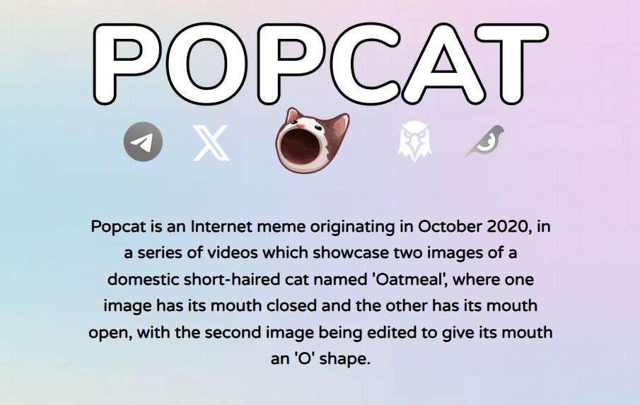 POPCAT币是什么？未来如何？POPCAT币价格走势预测