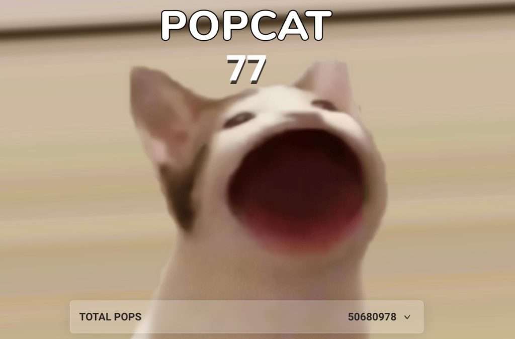 POPCAT币是什么？未来如何？POPCAT币价格走势预测