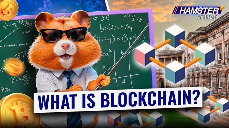 TON生态发展现状与热门项目:生态崛起背后还有哪些财富密码？
