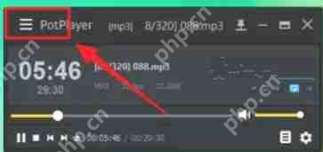 potplayer怎么在托盘显示图标-potplayer在托盘显示图标的方法
