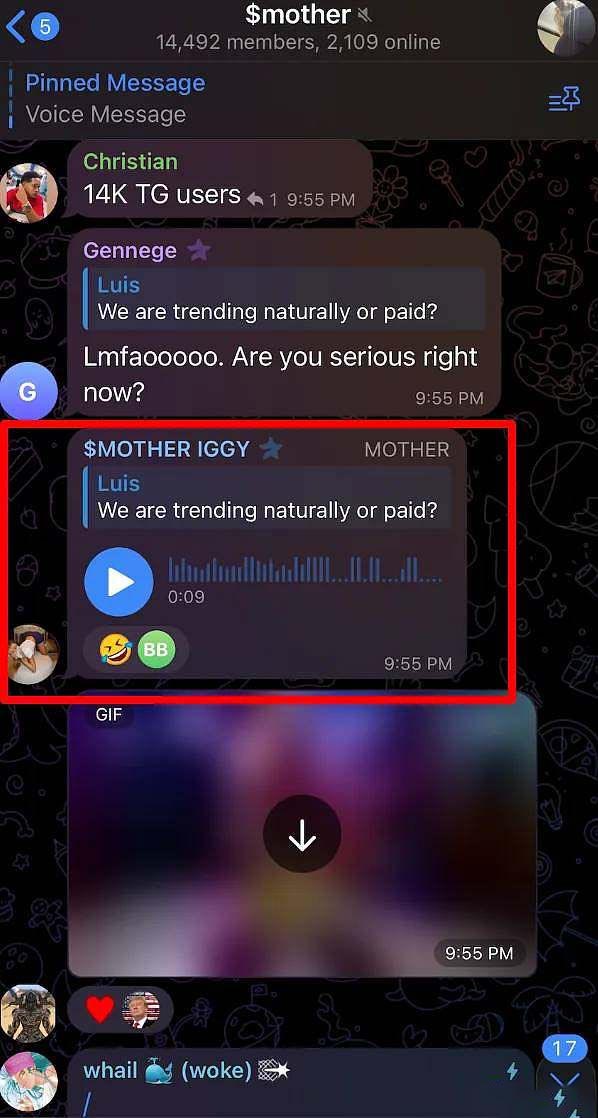 大多数名人Meme币都失败了 为何MOTHER币却成功了？