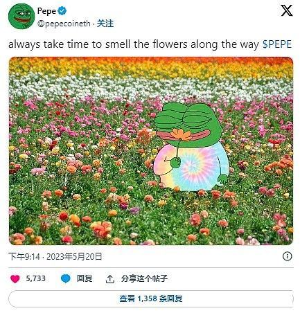 PEPE暴涨超1100% 一文读懂PEPE的过去与未来