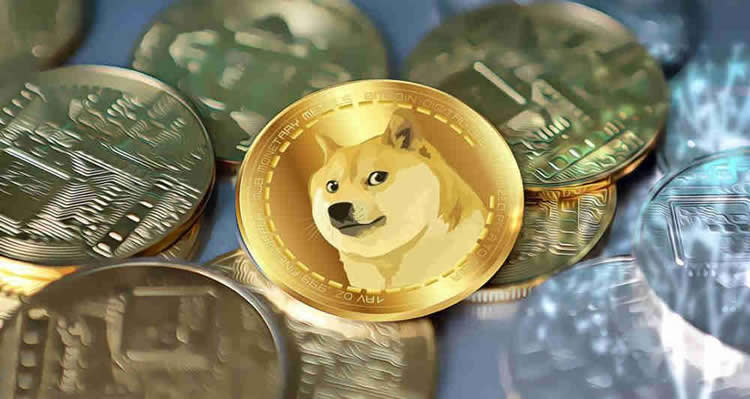 2025年土狗币(DOGE)有希望吗？能涨多少？