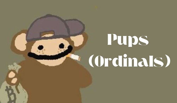 PUPS(Ordinals)币是什么？首个比特币符文迷因币,未来如何？