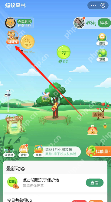 支付宝东宁保护地怎么领