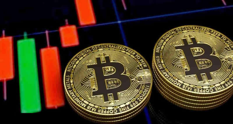 简单科普币圈wallet是什么东西？