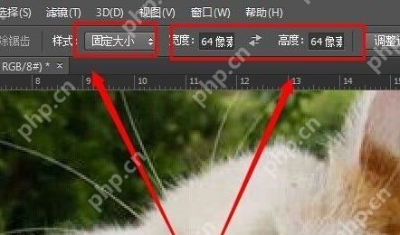 ps怎么为图片加框 图片加框操作步骤分享