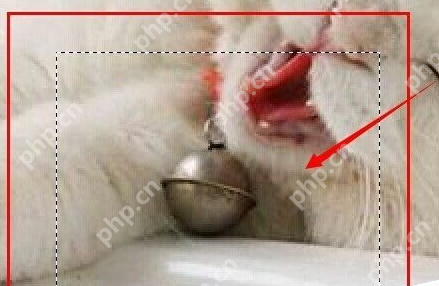 ps怎么为图片加框 图片加框操作步骤分享