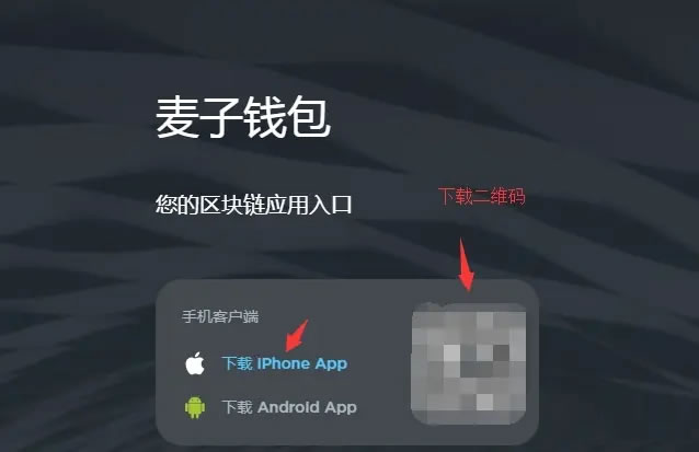 币圈新手第一站:虚拟币wallet的选择与使用教程
