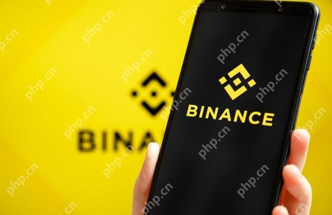 币安是手机号码登录还是邮箱登录 如何在币安平台上切换登录方式