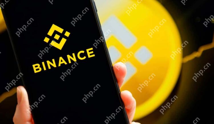 Binance币安交易所最新app下载教程(2025)