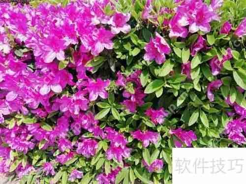 赫连皇甫尉迟公羊：五笔拼音编码解析