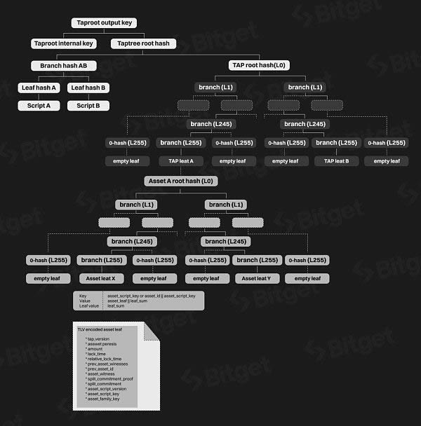 Bitget研究院:比特币生态 下一轮牛市的发动机