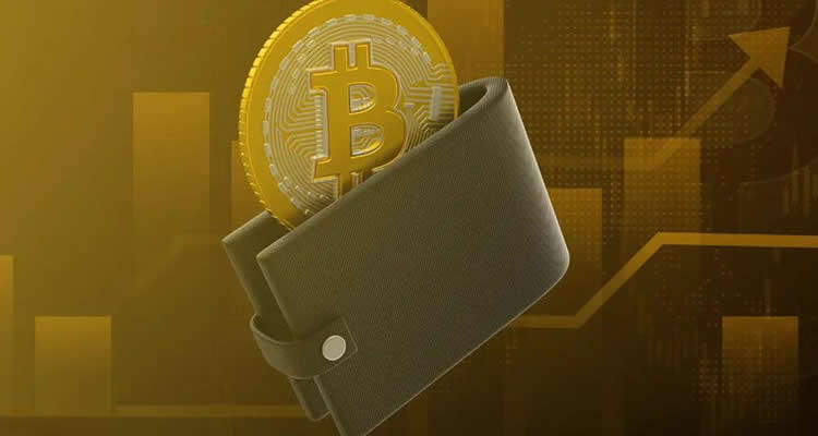 虚拟币电子wallet是什么意思？虚拟币电子wallet哪个好？