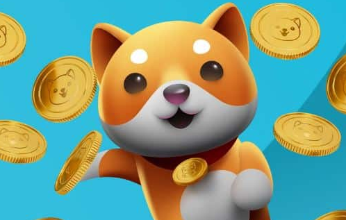 BabyDoge币的提钱方式