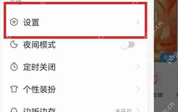 网易云音乐怎么开启流量播放功能