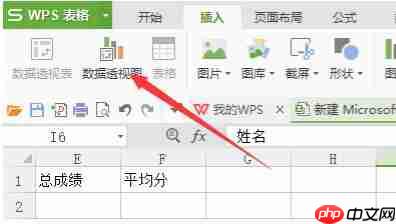 WPS怎么做数据透视WPS数据透视表求和方法分享表?