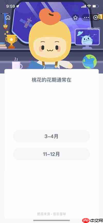 桃花的花期是什么时间