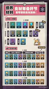 原神爱可菲怎么全面培养